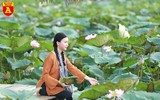 Dịu dàng mùa sen Hà Nội